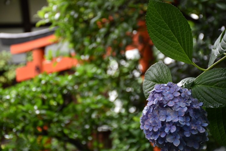 晴明神社_f0361605_21523407.jpg