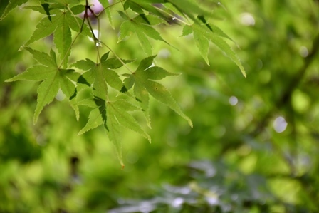 f0361605_21525448.jpg