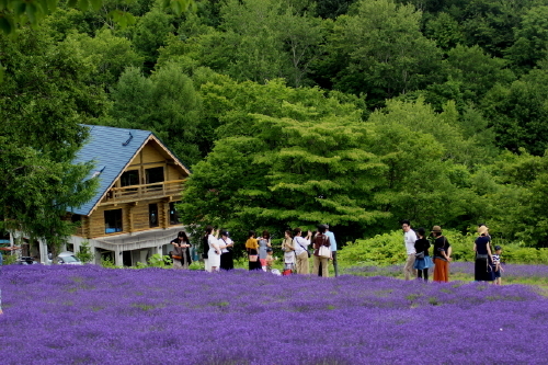 ラベンダーの香り_f0041606_07113938.jpg