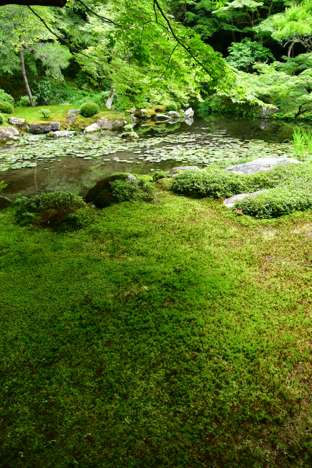 b0223512_21224538.jpeg