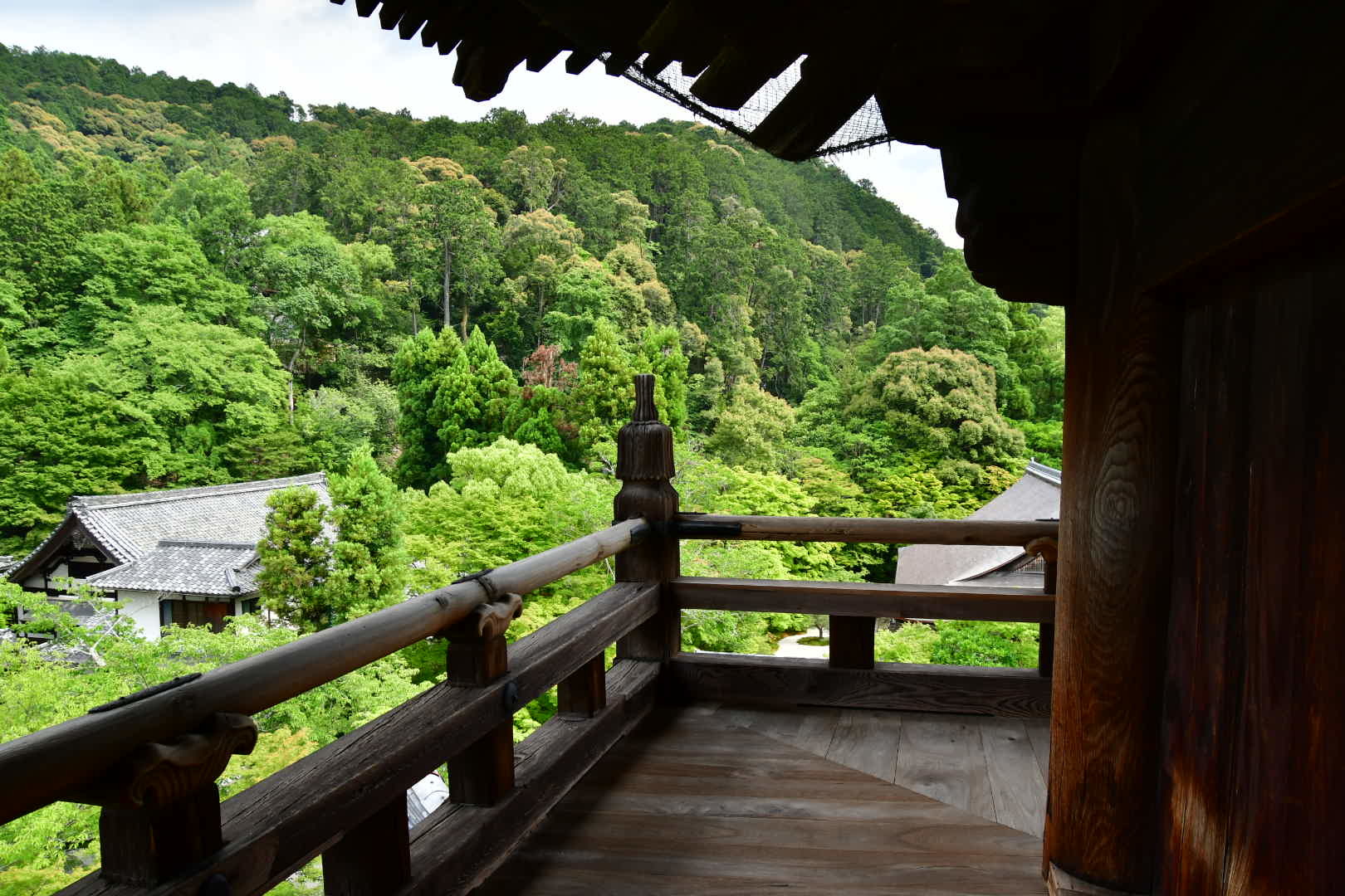 京都旅 2019 その8 ラスト_b0223512_21274945.jpeg