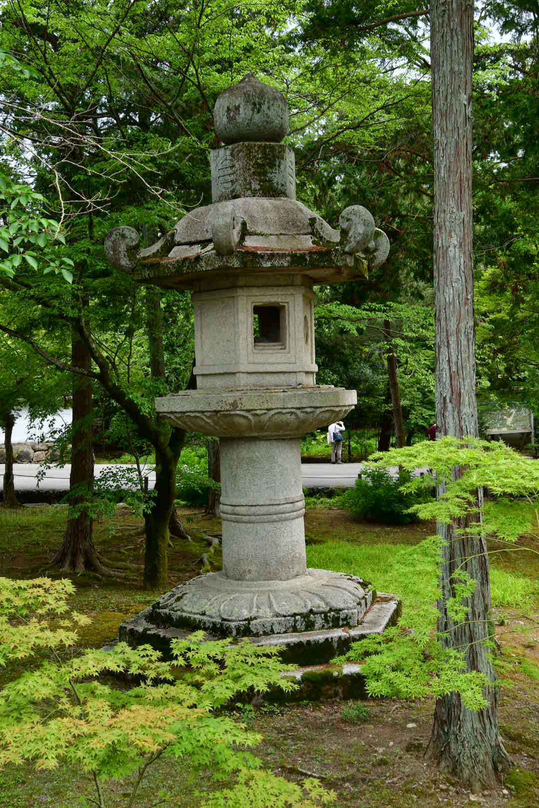 京都旅 2019 その8 ラスト_b0223512_21280504.jpeg