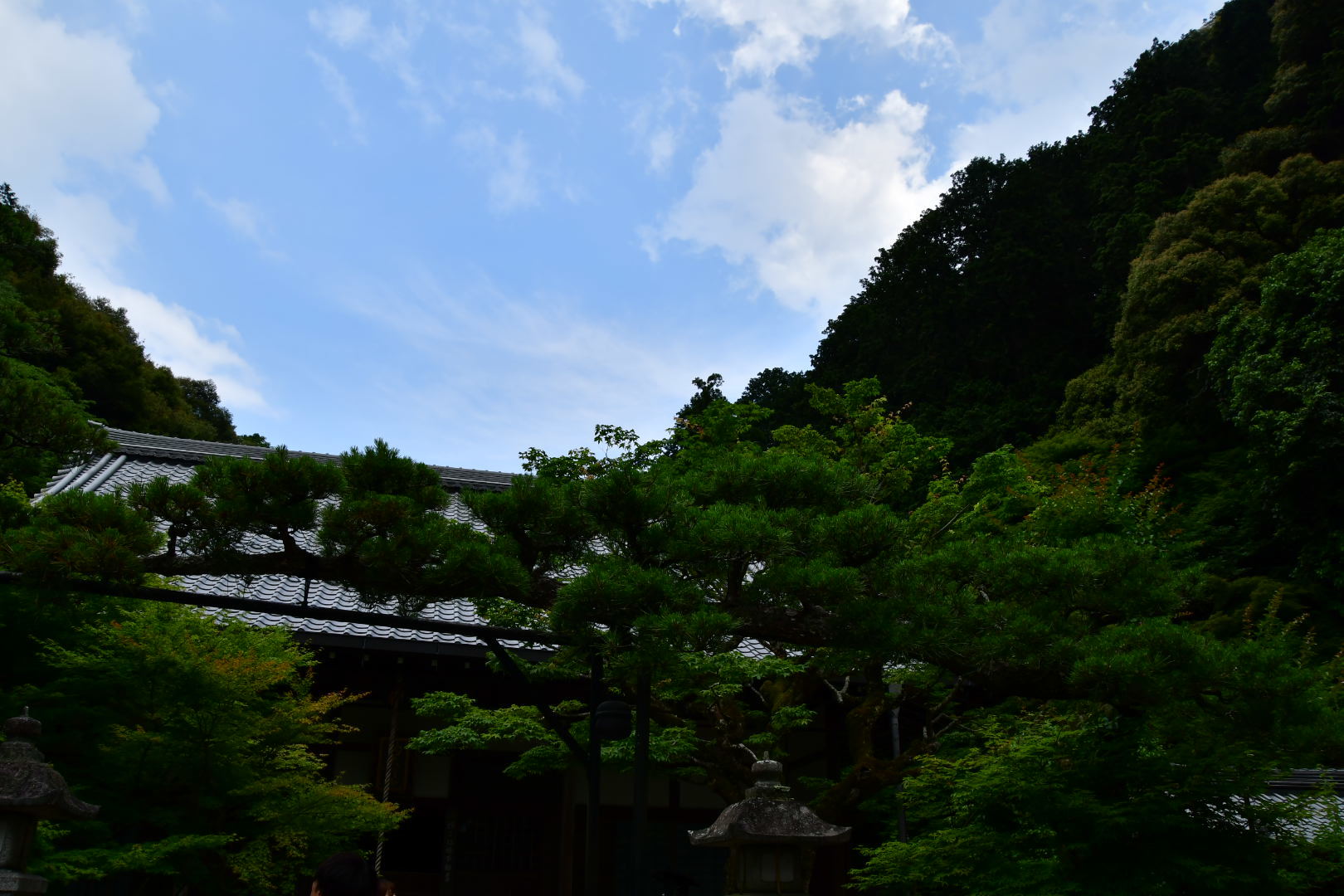 b0223512_23334736.jpeg