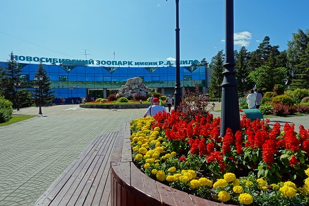 a0151913_5521153.jpg