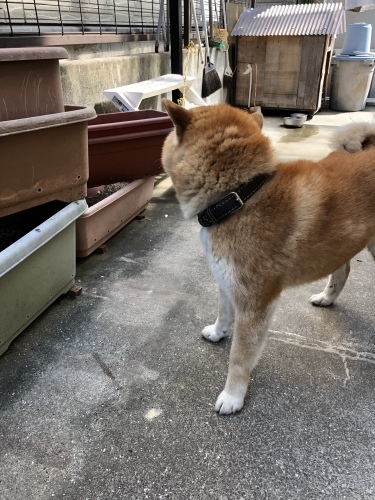 異常気象_d0184114_22241039.jpeg