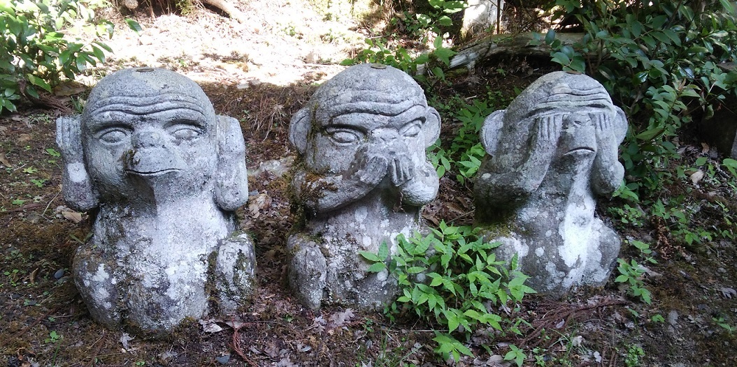 京都帝釈天（中平）_f0354314_08593174.jpg