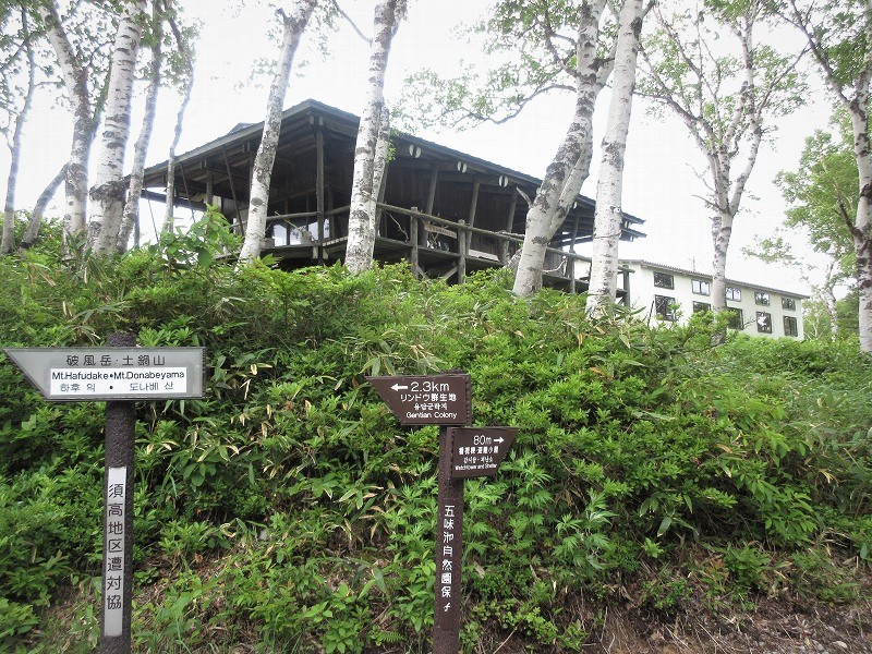 上信越 五味池破風高原のツツジ原と池めぐり Gomiikehafukōgen In Jōshin Etsu Kōgen National Park やっぱり自然が好き