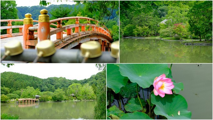 「福島・いわき市 国宝 白水阿弥陀堂」_a0000029_10530943.jpg