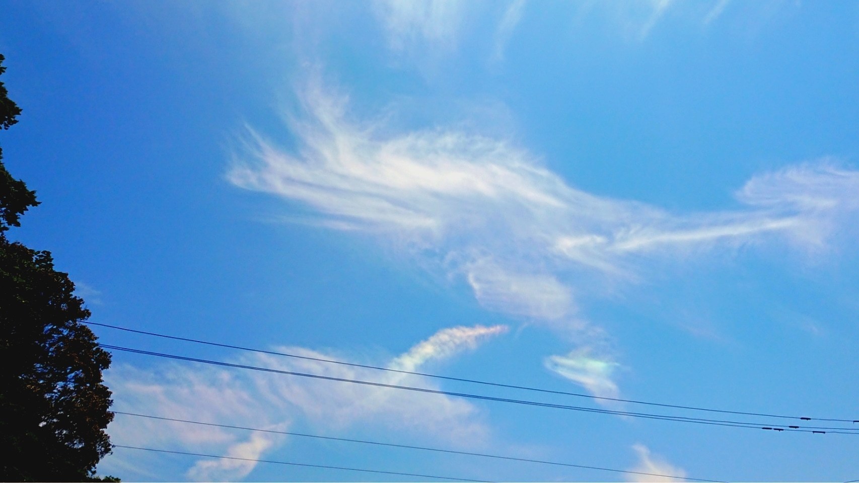 a0230831_21490417.jpg