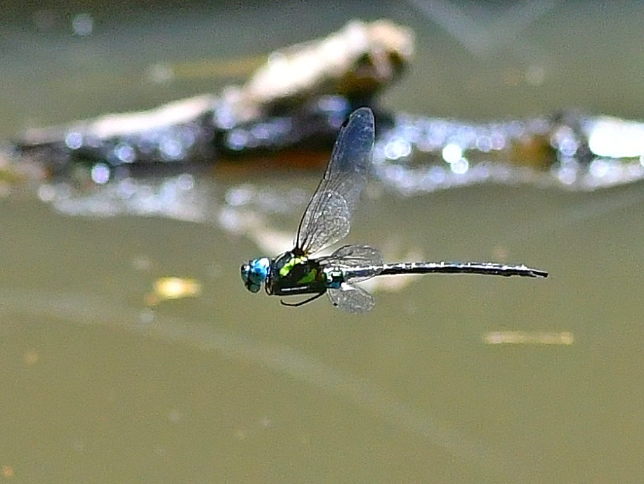 f0340732_00283601.jpg