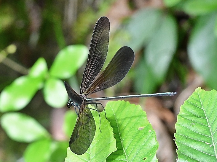 f0340732_21042346.jpg