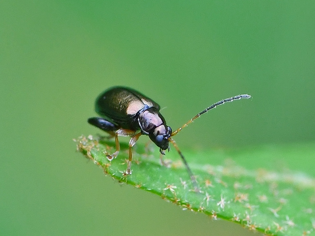 f0340732_21113448.jpg