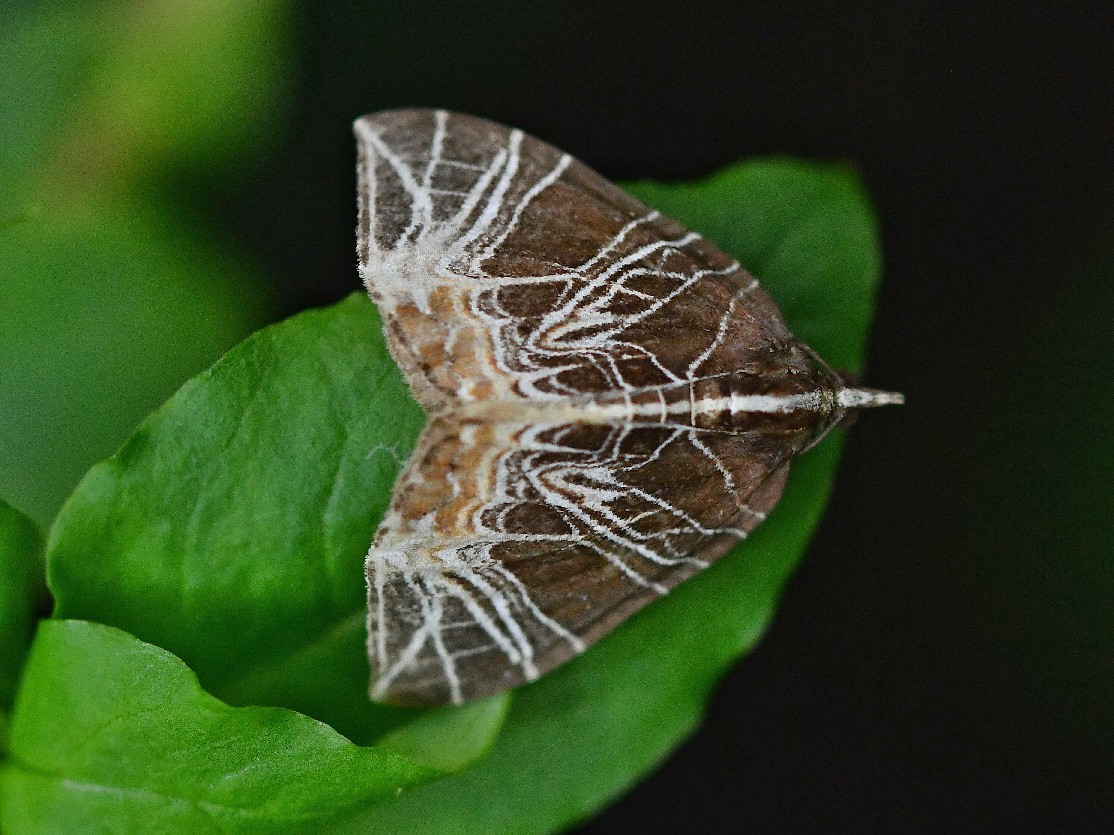 f0340732_21113455.jpg