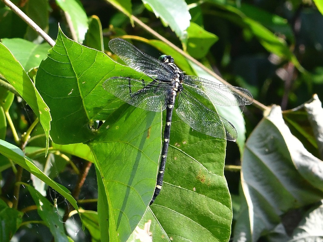 f0340732_21113583.jpg