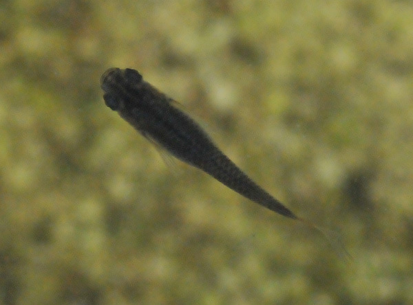 e0097534_18444739.jpg