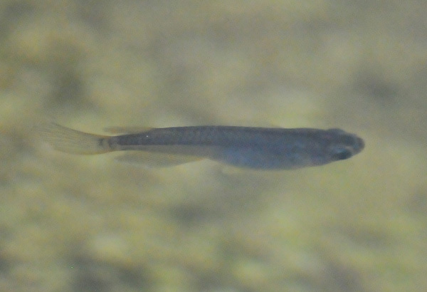 e0097534_18445752.jpg