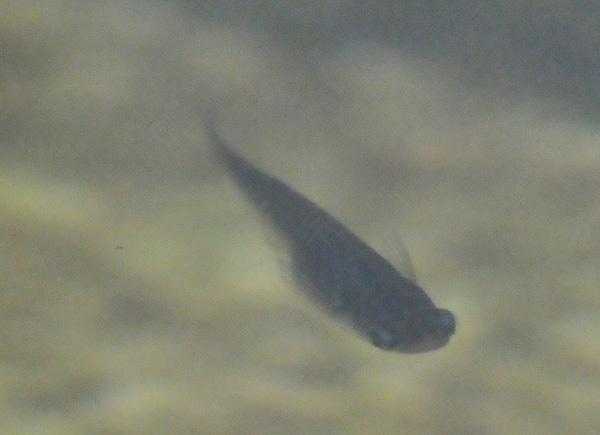 e0097534_18450806.jpg
