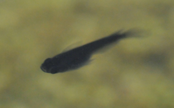 e0097534_18451795.jpg