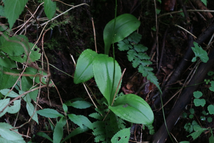 e0272335_1955728.jpg