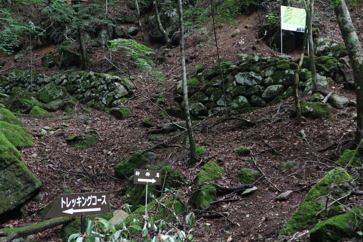 e0272335_593195.jpg