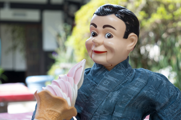 大原、寂光院、紫蘇が美味しい_e0369736_17490568.jpg