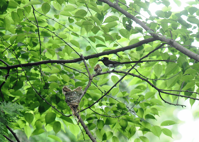 d0290240_07132112.gif