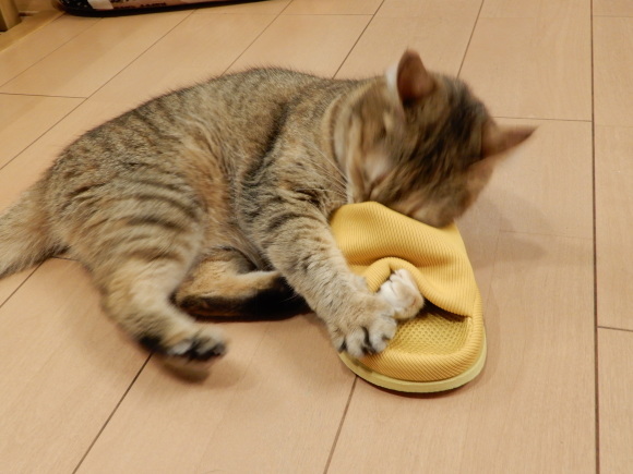 c0259945_14141677.jpg
