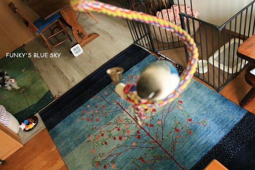 c0145250_09471179.jpg