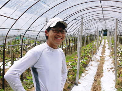 甘熟イチジク 毎年繰り返される惜しまぬ手間ひまと匠の技で令和元年度も元気に順調に成長中!_a0254656_18364128.jpg