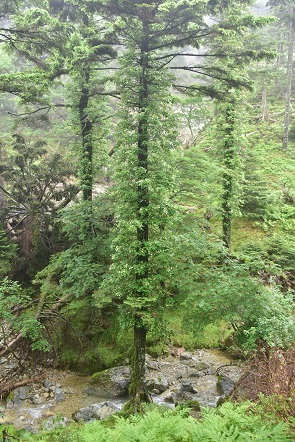 c0303868_11085662.jpg