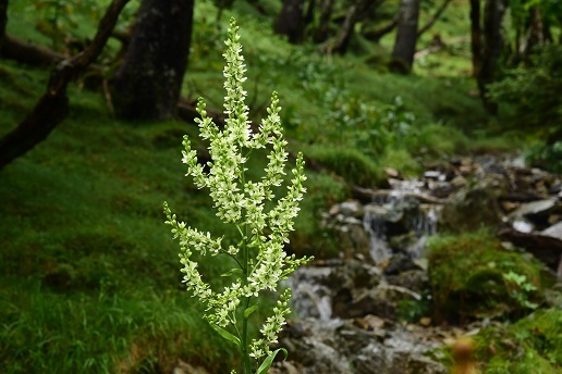 c0303868_11113529.jpg
