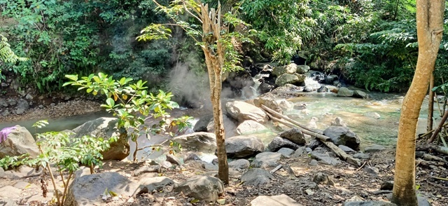 d0083068_12235915.jpg