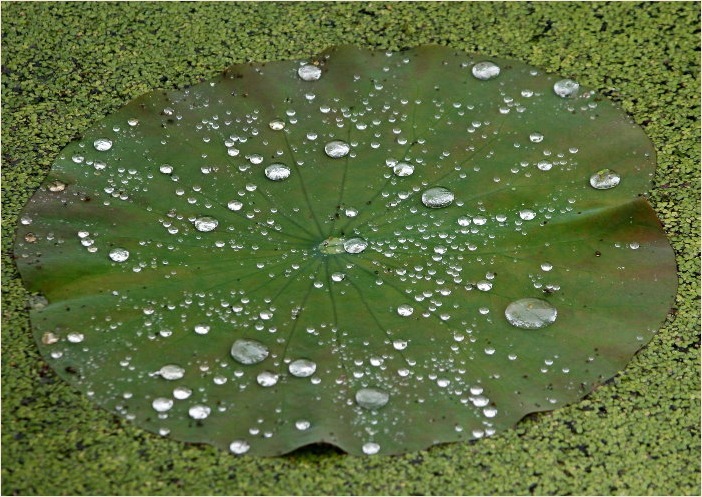 f0181173_12345937.jpg