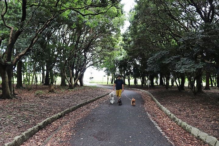 雨上がりのいつもの公園。_b0111376_15255582.jpg