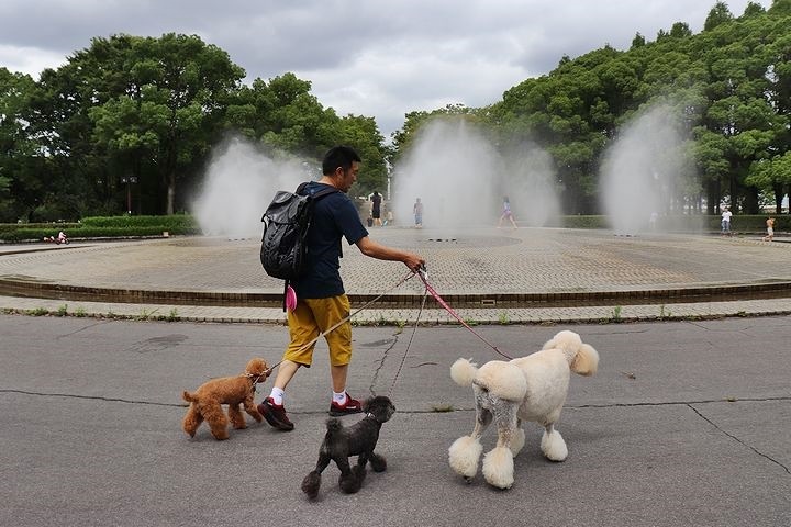 雨上がりのいつもの公園。_b0111376_15320742.jpg