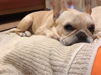 d0048577_15193234.jpeg