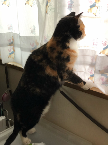振り返ってみました②_e0355177_18584793.jpg