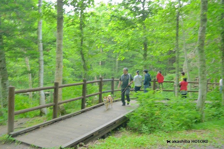 f0150377_21102470.jpg