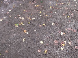 a0142083_10375075.jpg