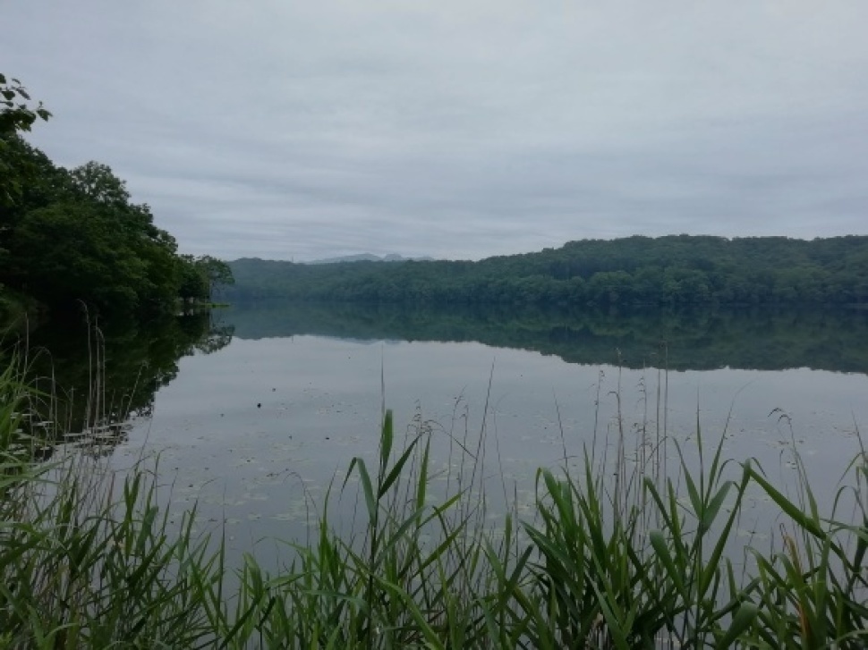 c0212083_17335937.jpg