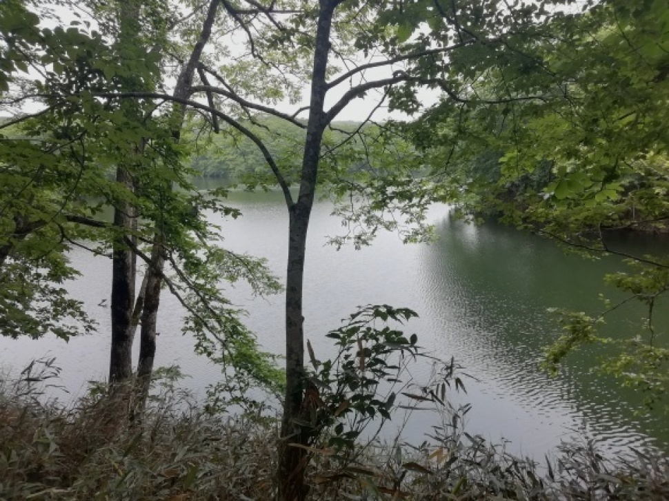 c0212083_17414271.jpg
