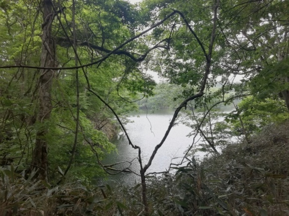 c0212083_17433290.jpg