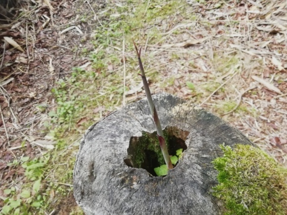 c0212083_17443300.jpg