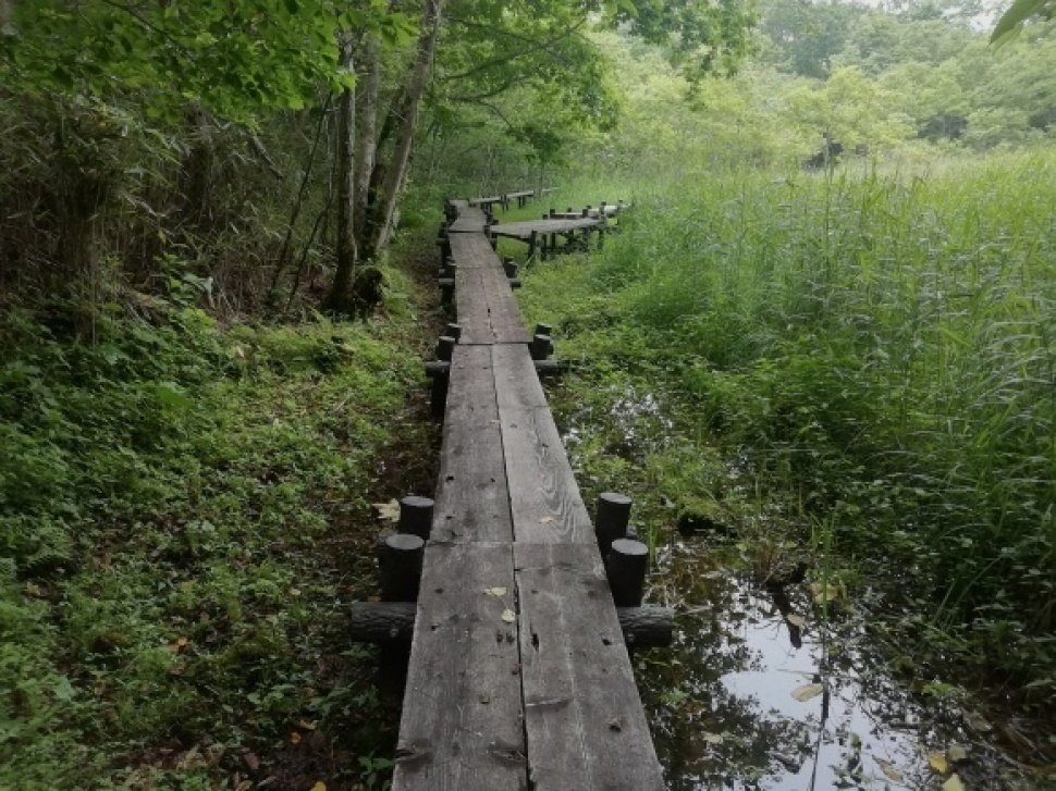 c0212083_17450166.jpg