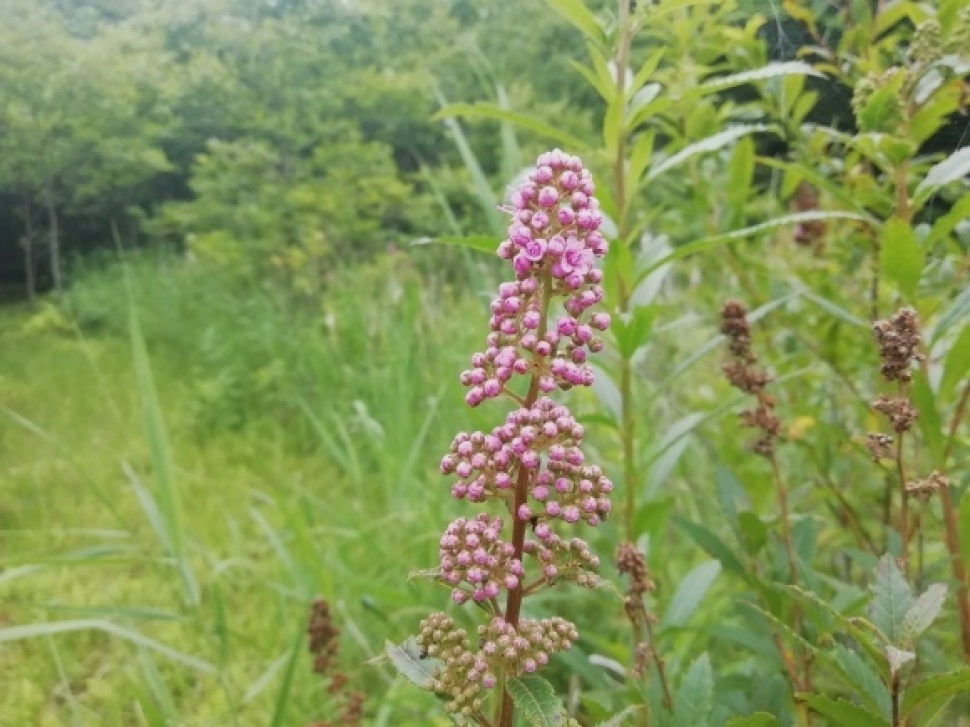 c0212083_21030564.jpg