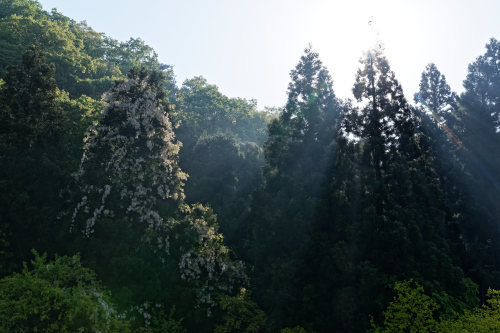 e0366896_20402114.jpg