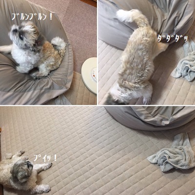 リビングを模様替え~♪_f0372998_22115662.jpg