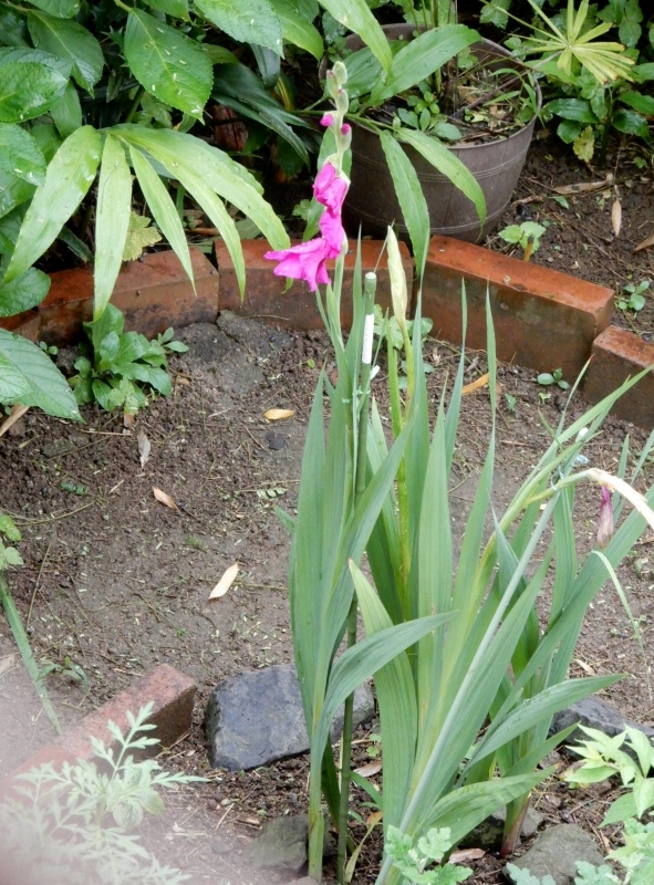 e0025300_20525811.jpg