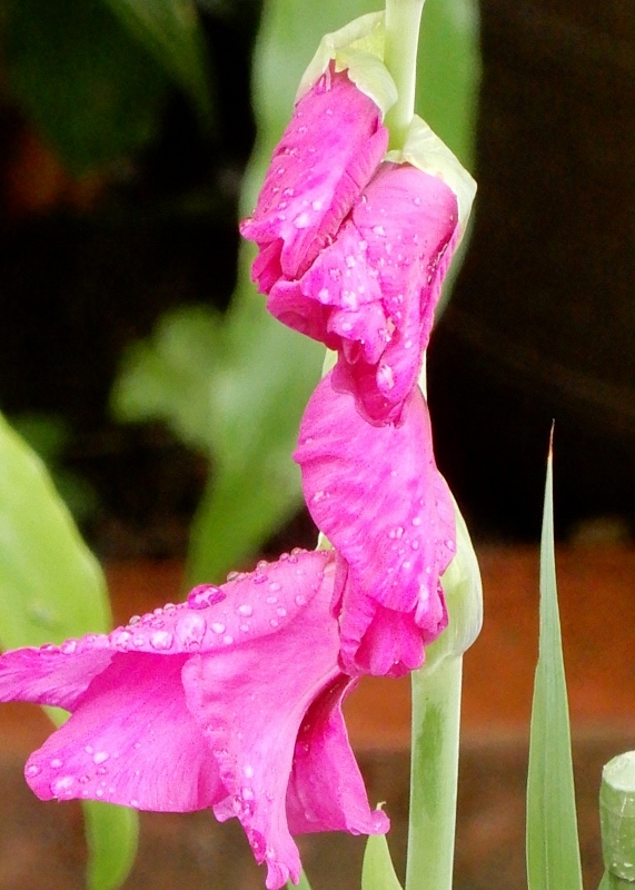 e0025300_20544070.jpg