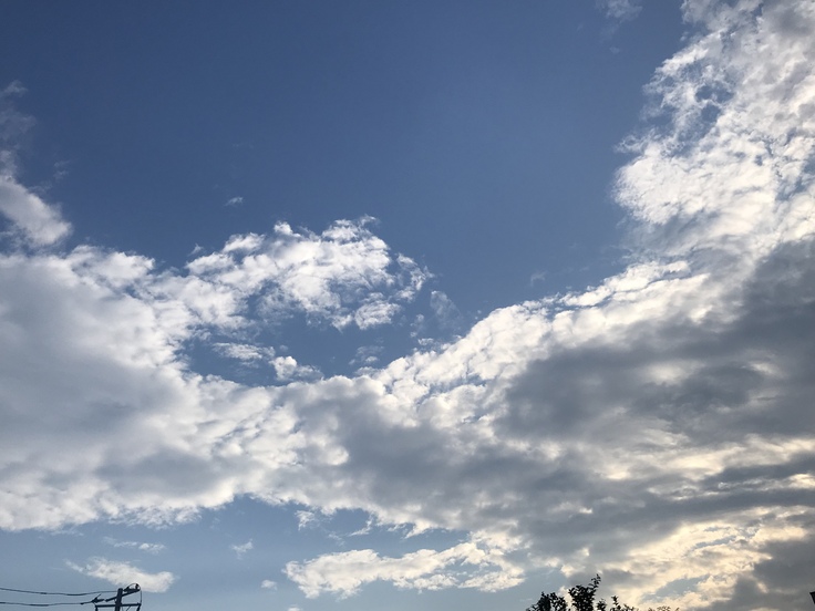 なつぞら散歩 ♪ _c0212604_18331392.jpg